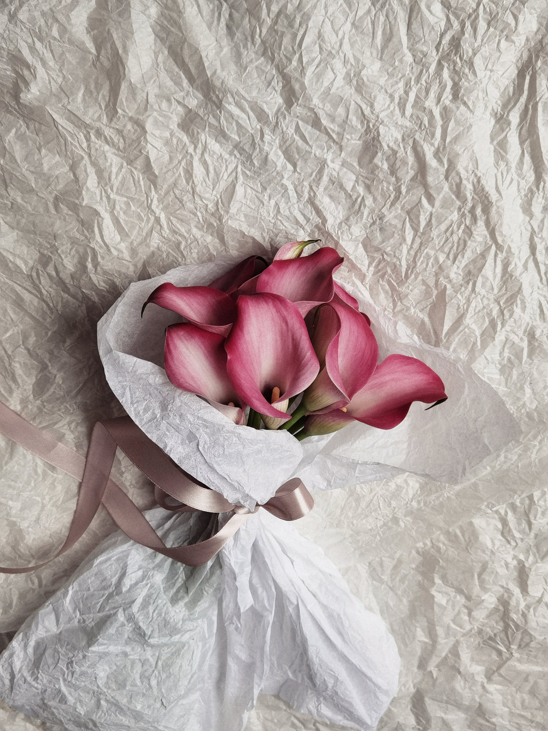 Maison Muju – O poveste care nu începe cu flori