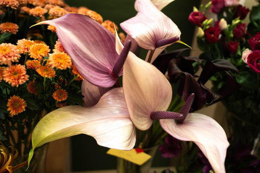 "Zâmbet floral lunar"