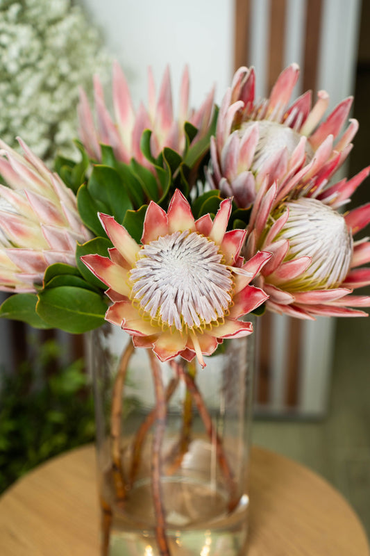 "Înflorește zi de zi"