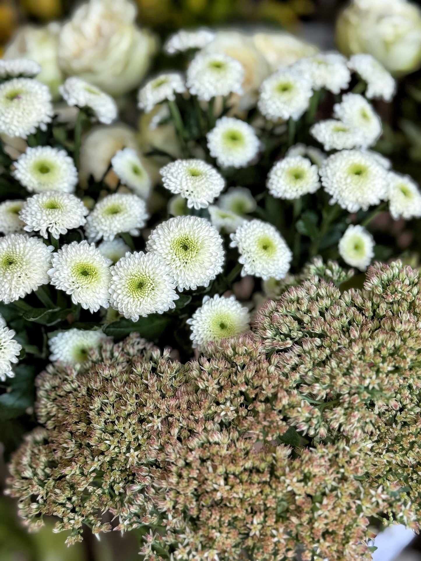 "Zâmbet floral lunar"