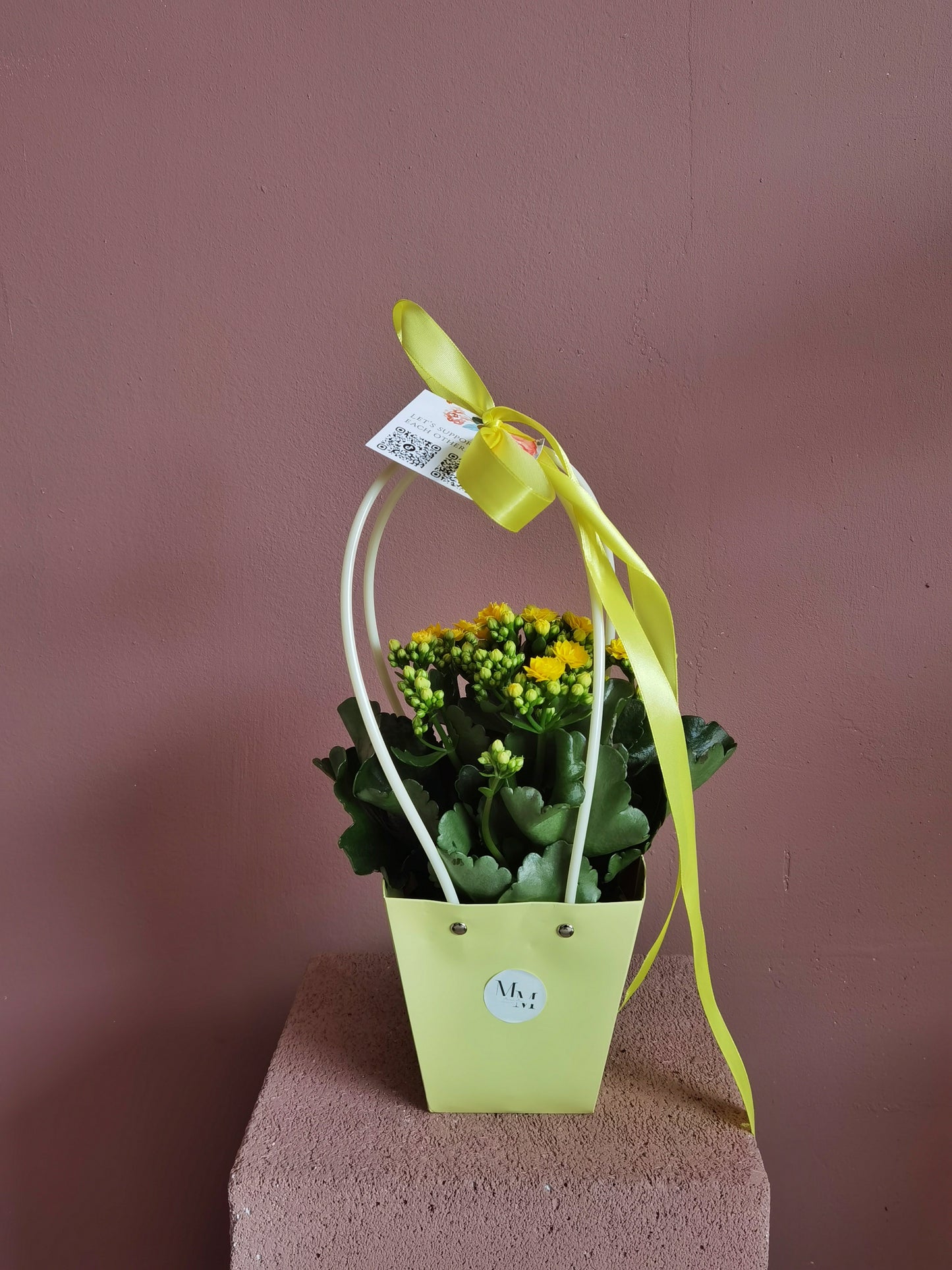 Kalanchoe – Floare a bucuriei și prospețimii