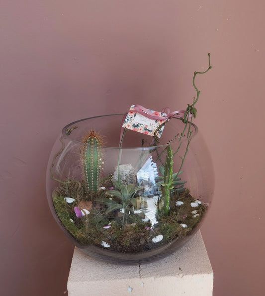 Terrarium