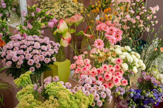 "Înflorește zi de zi"